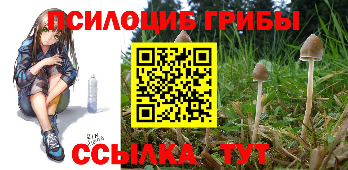 Галлюциногенные грибы мухоморы Бузулук